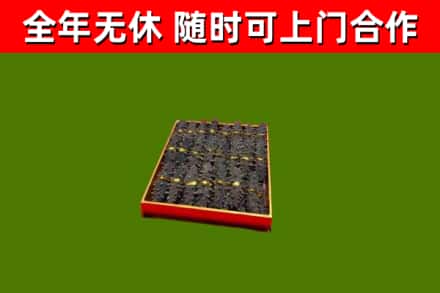上栗回收海参